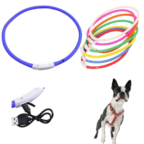 Lifetips {XgeAiBoston Terrierj Lp LED USB[d h y _炩VR 7FC{[ ԎU S΍ TCY 铹Cg (u[)