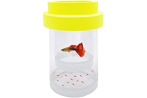 Guppy Breeding Box For Aquarium