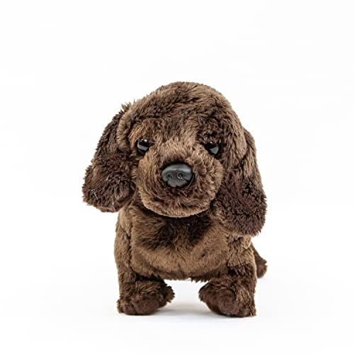 Teddys Rothenburg Kuscheltier Dackel Dunkelbraun 19 cm Plüschdackel Plüschtier