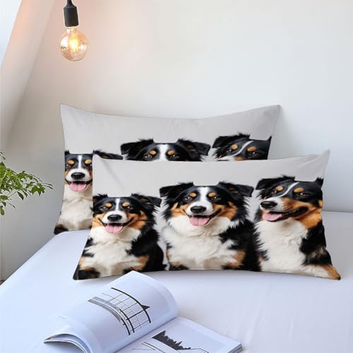 Couette tempérée douce lavable en microfibre imprimé animal 200x200
