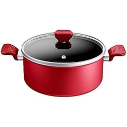 Olla Tefal 24 Cm Tefal - Olla de 24 cm, inducción, revestimiento antiadherente, indicador de temperatura, tapa de cristal, mango cómodo, comida deliciosa y saludable, fabricado en Francia, Daily Expert C2894602