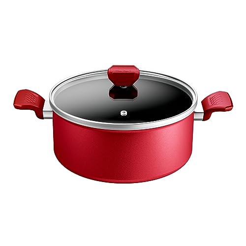 Tefal Faitout 24 cm, Induction, Revêtement antiadhésif, Indicateur de température, Couvercle en...