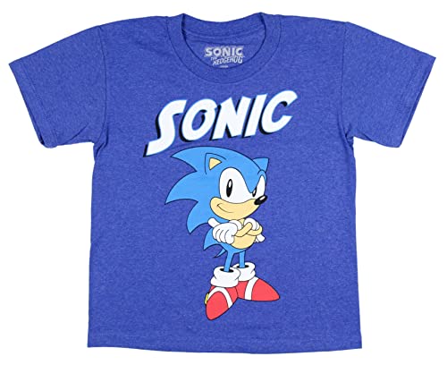Sonic The Hedgehog Boy's Sonic Folded Arms Stance T-Shirt