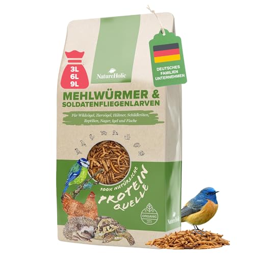 Mehlwürmer & Soldatenfliegenlarven getrocknet | Proteinreiches Futter Vögel, Entenfutter, Nager, Igel, Eichhörnchen, Vogelfutter, Wildvögel Huhn, Reptil | Natürliches Insektensnack (460g) Mehlwürmer & Soldatenfliegenlarven getrocknet | Proteinreiches Futter Vögel, Entenfutter, Nager, Igel, Eichhörnchen, Vogelfutter, Wildvögel Huhn, Reptil | Natürliches Insektensnack (460g)