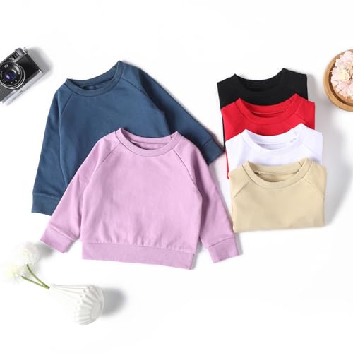DEFAHN Toddler Baby Pullover Sweatshirt,Long Sleeve Infant Boy Girl Crewneck Active Tshirts 6 Month-3Y 6