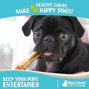 Uncooked Paws 4-inch Compressed Rawhide Bones for Canine, 20-count – Packed in USA – Small Canine Bones – Pet Bones – Lengthy Lasting Canine Chews – Pure Pressed Rawhides – Uncooked Conceal Bones