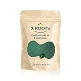 Espirulina em Pó X Roots 500g – Spirulina Verde Pura e Natural – Fonte de Proteína Vegetal e Minerais – Embalagem Abre e Fecha