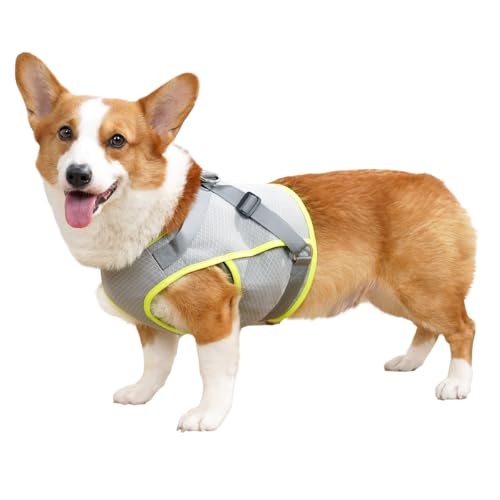 [lalarimi]yC?w?zėpy??w?z?? fUC ԎUɓK ybgp 