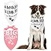 Heclia Big Sister Dog Bandanas Gender Reveal Announcement Scarf for Medium Cute Pet Photo Props for Pregnancy Reveals Birthdays Family Adjustable 2 Pcs Soft Pet Bandana for Celebrations Photo Shoots