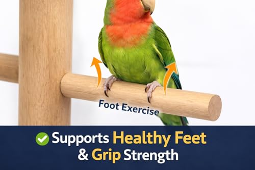 Image of KSK Natural Wooden Bird Perch for Cage - Wall Mounted Parrot Stand with Stainless Steel Bolt - Comfortable Foot Rest for Budgies, Lovebirds, Cockatiels & Small Birds