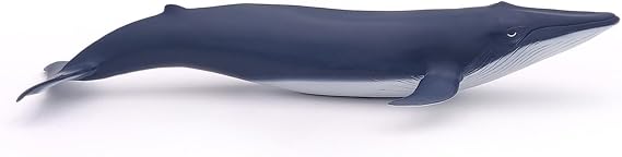 Papo - Realistic Baby Blue Whale Figure - Ages 3+ Marine Life Collection - Educational Play Young Marine Mammals - Gift Idea Toy for Girls and Boys