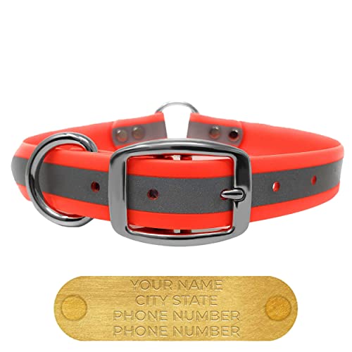 Regal Dog Products Medium Orange Reflective Dog Collar