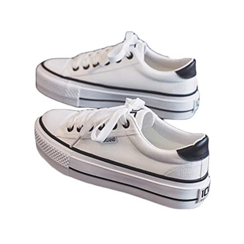 [IJGE] fB[X [q[ LoX  JWA [Jbg Xj[J[ Cq[ [XAbv fbLV[Y TCY 傫TCY EhgD ʋC y zCg vbgtH[ 23.5cm ₷ EH[LO