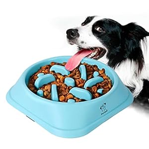 Decyam Anti Groove Dog Bowl Slow Feeding Slow Feeder Dog Bowl (Meium Blue)