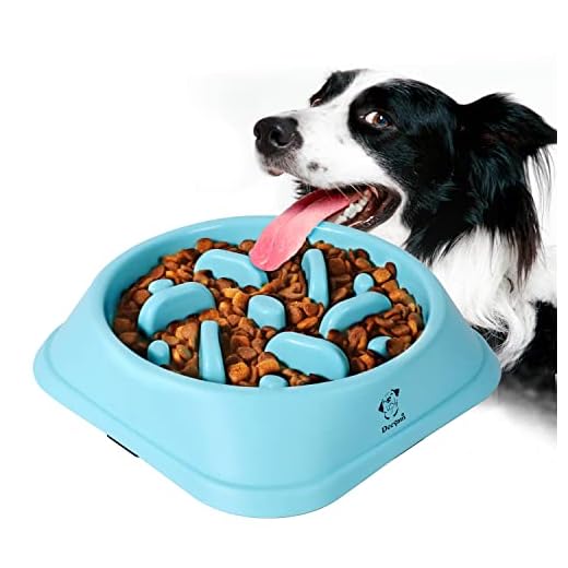 Decyam Comedero de Perros para ralentizar la Comida, Divertida búsqueda de alimento