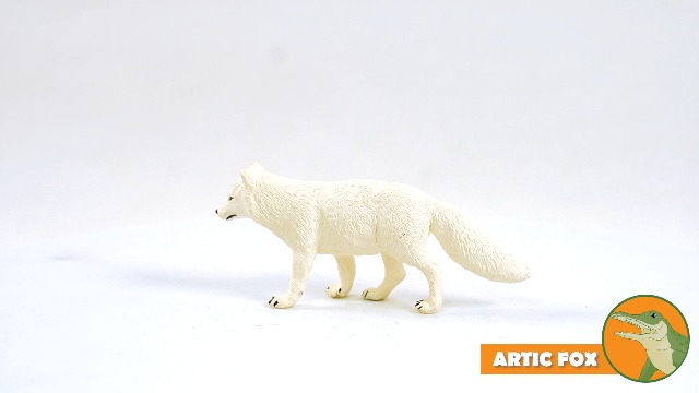Amazon.com: Safari Ltd. Arctic Fox Toy Figure | North American