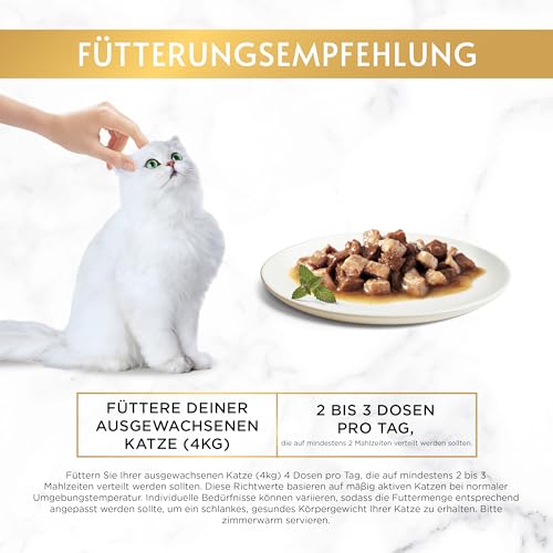 Gourmet Gold Zarte Häppchen in Sauce Katzenfutter nass, mit Lachs und Huhn, 12er Pack (12 x 85g)