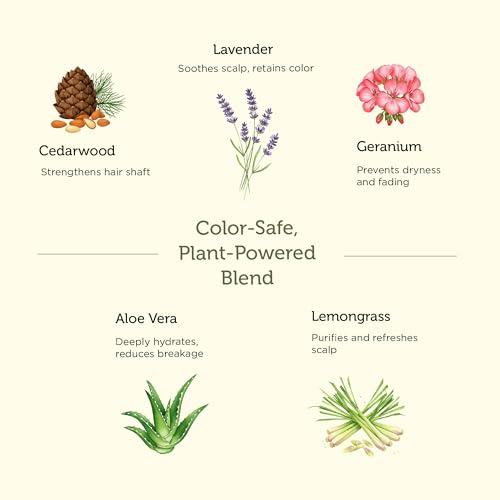 Image of Color Protect Hair Oil | Solarized Ayurvedic Blend | Cedarwood, Lavender, Geranium & Lemongrass | Repairs Chemical Damage | UV Protection | 50 ml