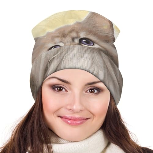 Gorro de punto de gato elástico unisex para invierno 6