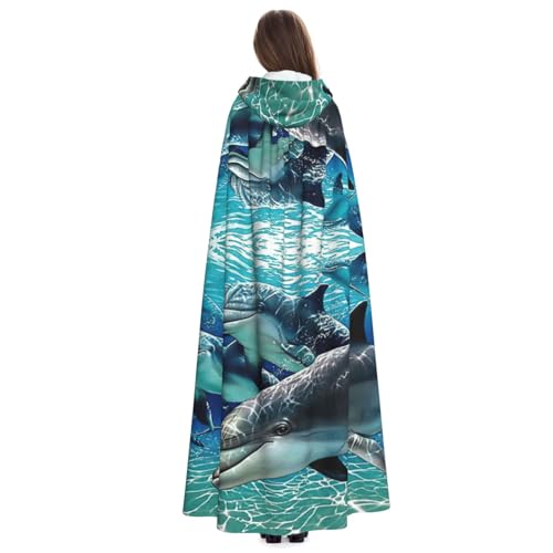 Robe de carnaval dauphin : cape médiévale idéale pour vos festivals - 3