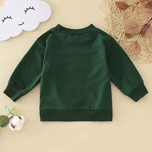 Toddler Boys Pullover Sweatshirt Long Sleeve Shirt Pullover Sweater Top Fall Winter Clothes2