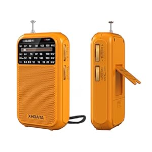 D220 Portable Radio AM FM SW Shortwave Receiver Pocket Radios, 2AA Battery Operated Transistor Radio with Excellent Reception for Gift, Family, Elder (Orange)