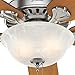 Hunter Fan Company 53249 Hunter Pro Best Indoor Ceiling Fan with Pull Chain Control, 52, Brushed Nickel/Chestnut Rosewood