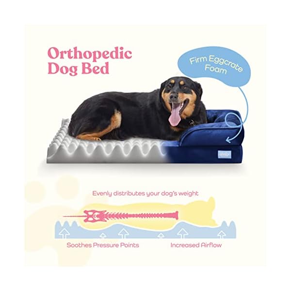 Orthopädisches Sofa Hundebett – Ultra bequemes Hundebett für mittelgroße Hunde – Atmungsaktives und wasserdichtes Haustierbett – EierschaumSchlafsofa mit extra Kopf und Nackenstütze – Abnehmbarer, – Bild 4