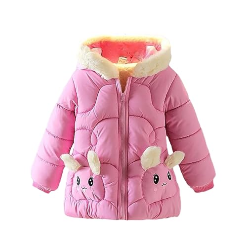 Children's Thickened Quality Cotton Cotton Padded Winter Cartoon Cotton Padded Clothes Fall Winter Jacket Outerwear Coat