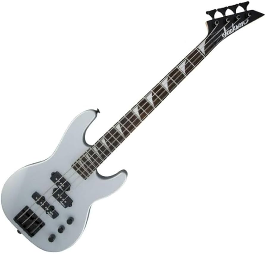 最終値下げ【エレキギター】Rockson ST SERIES ロックソン - ギター
