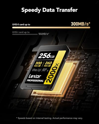 Image of Lexar Professional 2000x SD Card 256GB, SDXC UHS-II Memory Card, Up to 300MB /s Read, for DSLR, Cinema-Quality Video Cameras (LSD2000256G-BNNNG)