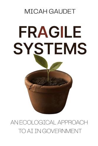 Fragile Systems: An Ecological Approach To Ai In Government