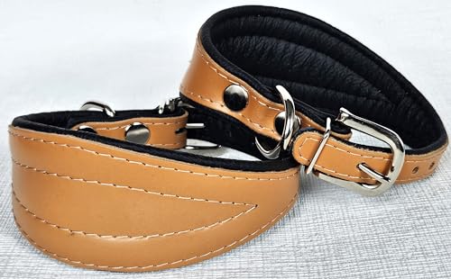 Greyhound Podenco Halsband, Halsumfang 26-32cm, 32-38 cm, 35-41cm, 40-47cm, 40-50cm Leder, Cognac- Schwarz (26-32cm/35 cm)