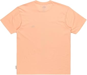 Quiksilver Basic Ss Tee Young Men Tişört Erkekler