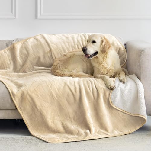Dreamzie - wasserdichte Decke 127x152 cm - Hundedecke Sofa und Bett - Reversible Decke Wasserdicht aus Sherpa-Fleece – Waschbar – Beige