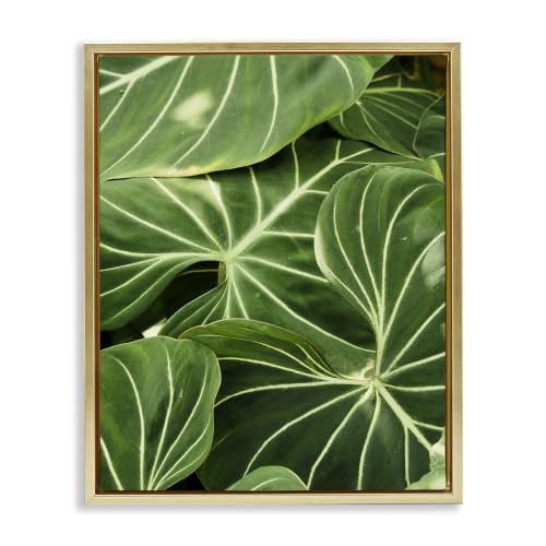 Lush Green Leaves Tropical Plant, 25 x 31 Inch Canvas in Floater Frame