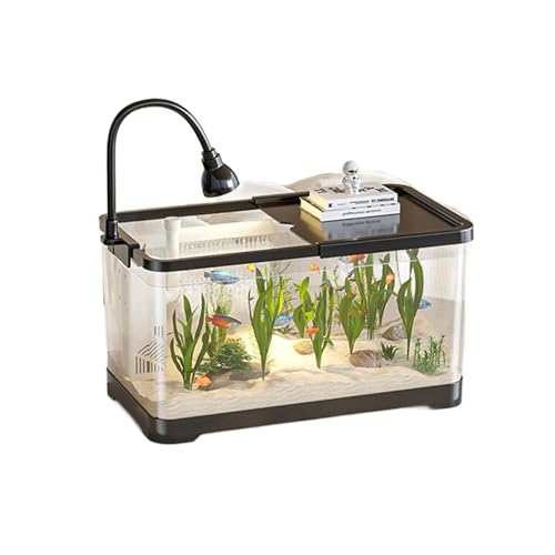 Bderkz Mini-Aquarium mit LED-Licht QCSBQDDCT