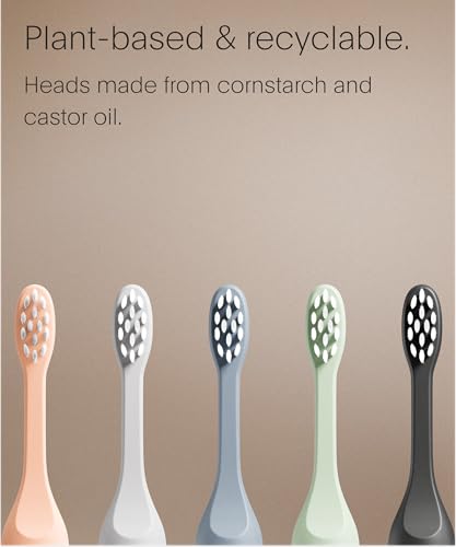Image of SURI Recyclable Plant-Based, Electric Toothbrush Heads - Long Lasting Replacement Heads | Compatible Only Sonic Electric Toothbrush - Winter Fern, Pack of 3