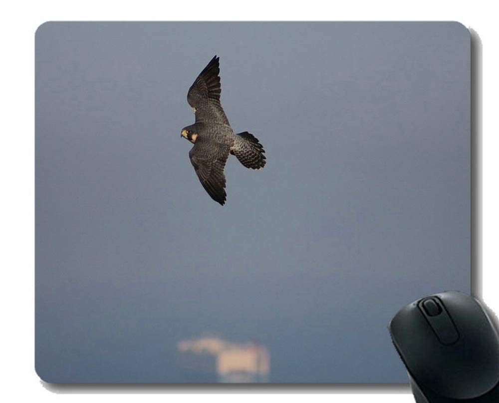 Eagles Mouse Pads Customized,Birds Office Mouse Pad