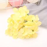 LIYING Fleur d'hortensia Artificielle DIY de Mariage Fond Mur de Maison décoration de Jardin Faux flres (Color : H, Size : 20pcs)