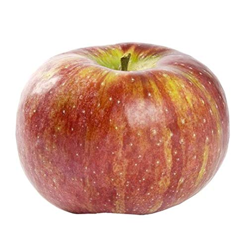 Evaxo Cortland Apple 5 lb bag .#B