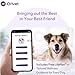 ORIVET Genopet Dog DNA Test | Dog Breed Test Kit, Genetic Testing, Heritable Health Risks & Personalized Life Plan