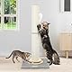 Globlazer Kratzstamm XXL, Kratzsäule Groß Stabil hoch 90 cm & 50 cm 2 IN 1 Einstellbar mit Große Basis Dicker Stamm Sisal Plüschball Holz Trackingball, Kratzsäulen für Große Katzen (SC35, Hellgrau)