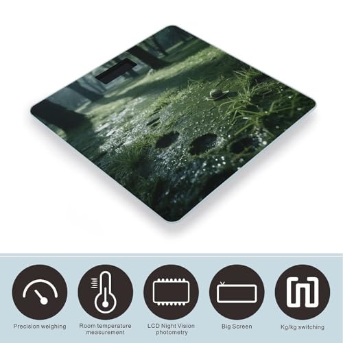 Báscula digital para baño Grassland Snail con vidrio templado miniatura 3