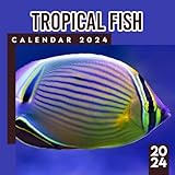 Tropical Fish Calendar 2024: Animals Calendar 2024-2025 From January 2024 to December 2024, Bonus 6 Months 2025 Calendar with Daily Blocks, Perfect Calendar for Organizing, Planning Unique Christmas Gift