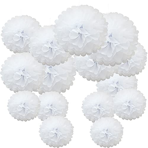 Time to Sparkle 15pcs Mixed Tissue Paper Pom Poms Decorations, Handmade Hanging Flower Paper Pompoms Balls for Wedding Birthday Party, Baby Shower