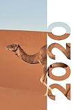  2020: Stocking stuffers for office staff Elegant Planner Calendar Organizer Daily Weekly Monthly Student Diary for notes on what to wear on a camel ride in Morocco