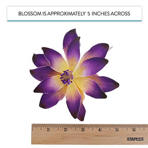 Global Sugar Art Tranquil Water Sugar Cake Flowers, Purple 3 Count By Chef Alan Tetreault #TOP5