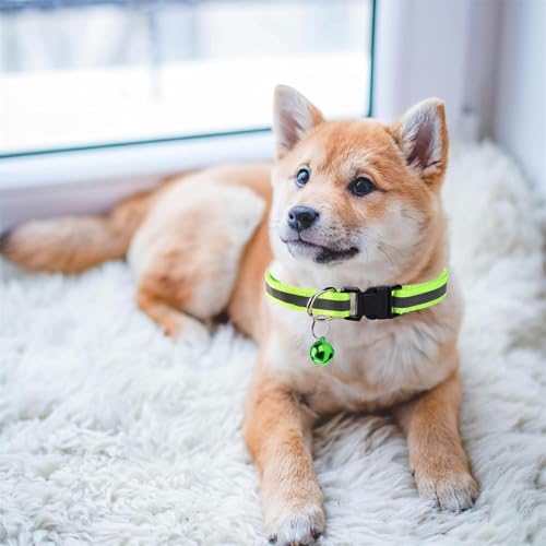 Mini Haustierortungsgerät für Hunde & Katzen, Kompatibel mit iOS & Android mit Reflektierend Halsband, Ortungsgerät Weltweite Standortverfolgung, IP67 Wasserdicht für Hauskatzen und Hunde (Black)