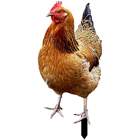 Statue Poulet Dubbulon Cover
